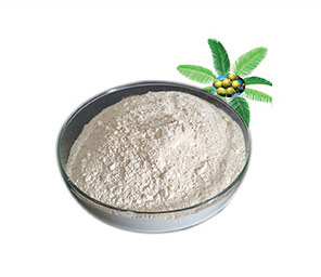 Saw Palmetto Extract 